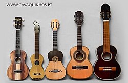 From left: Hawaiian ukulele, Madeira braguinha, Portuguese cavaquinho, Brazilian cavaquinho, Cape Verde cavaquinho. Museu Cavaquinho PT Cavaquinhos Mundo.jpg