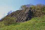 Impressionen vom Naturschutzgebiet Basaltblockmeer am Buchschirmküppel,