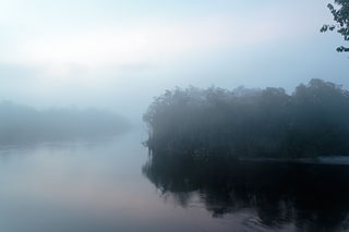 <span class="mw-page-title-main">Autana Municipality</span> Municipality in Amazonas, Venezuela