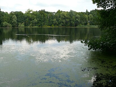 So kommt man zu dem Nikolassee mit den Öffentlichen - Mehr zum Ort Hier