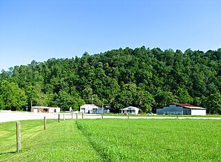 <span class="mw-page-title-main">North Springs, Tennessee</span> Unincorporated community in Tennessee, United States