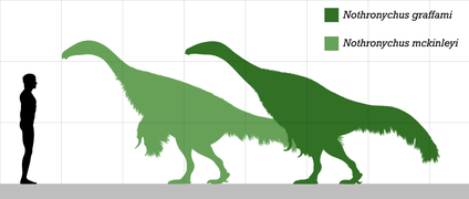 Size comparison of Nothronychus