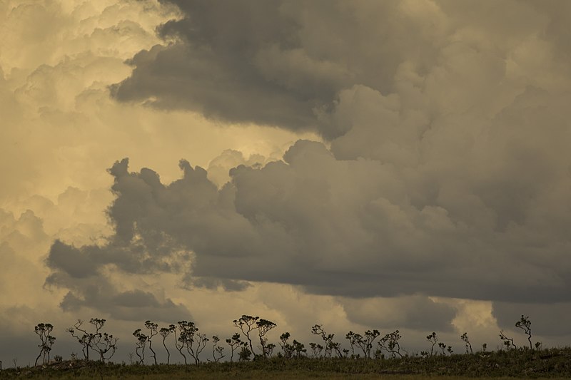 File:Nuvens de chuva.jpg