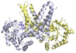 Thumbnail for Protein O-GlcNAcase