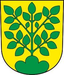 File:Oberbuchsiten-blazon.svg