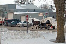 Old Order Horse and Buggy in Hawkesville 2008.jpg