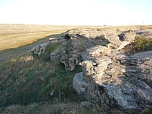 Old Women's Buffalo Jump, where Avonlea points have been found Old Woman's Buffalo Jump.JPG