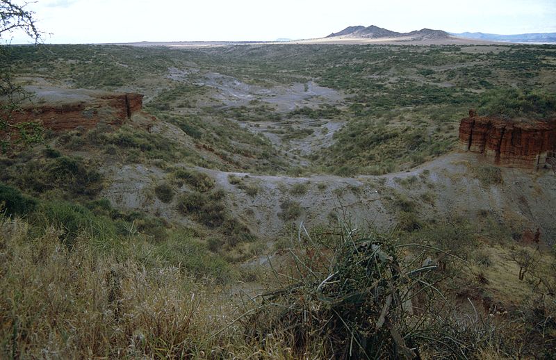 File:Olduvai-Schlucht in Tansania 1993.jpg