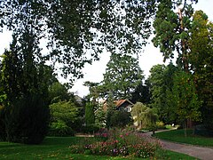 Chalet forestier dans le parc