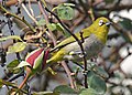 At Chandigarh, India