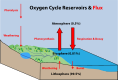 Oxygen cycle.svg