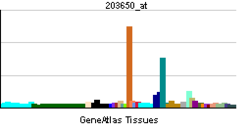 PBB GE PROCR 203650 at tn.png