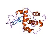 PDB 1gfj EBI.jpg