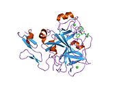 1kye: فاکتور Xa در مجموعه ای با (R)-2-(3-آدامانتان-1-ایل-اوریدو)-3-(3-کاربامیمیدویل-فنیل)-N-فنتیل-پروپیون آمید