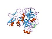 2g00: فاکتور Xa در کمپلکس با بازدارنده 3-(6-(2'-((دی متیل آمینو) متیل)-4-بی فنیلیل)-7-oxo-3-(تری فلورومتیل)-4،5،6،7-تتراهیدرو-1H- پیرازولو[3،4-c] پیریدین-1-ایل) بنزامید