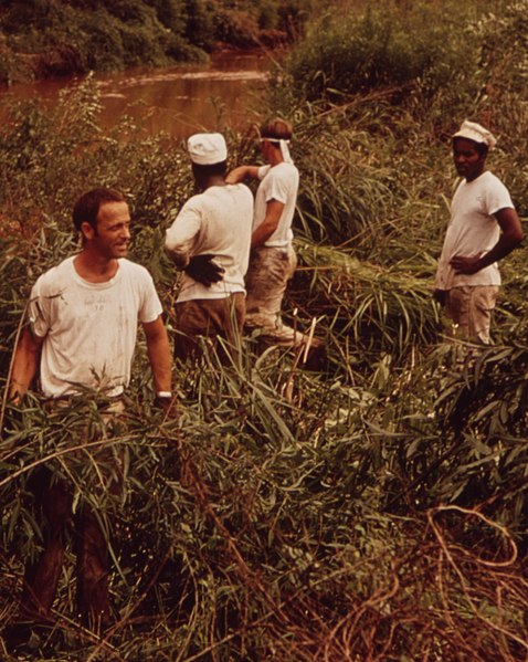 File:PRISONERS FROM JEFFERSON COUNTY JAIL REMOVE BRANCHES FROM POLLUTED STREAM - NARA - 545531 (cropped).jpg