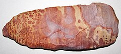 File:Painted Buffalo River Flint (attributed to the Ft. Payne Formation, Lower Mississippian; Tennessee, USA) 6.jpg (Category:Painted Buffalo River Flint (attributed to the Ft. Payne Formation, Lower Mississippian; Tennessee))