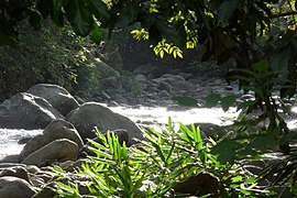 Paisaje - Río Quindío - Boquía (14693796362).jpg