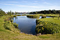 Park miejski przy jeziorze Tjörnin