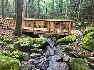 <span class="mw-page-title-main">Webb Mountain Park</span>