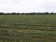Photographie de champs au nord du bourg.