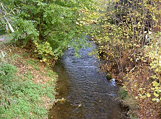 The Pivoňka in Poběžovice