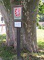 Čeština: Památný strom - platan javorolistý (Platanus hispanica); v Mikulově na křižovatce ulic Pod platanem, Komenského a Vídeňská, okres Břeclav - ČR English: Famous tree (Platanus hispanica) in Mikulov, Břeclav District in Czech Republic