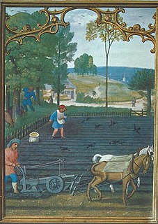 <span class="mw-page-title-main">Agriculture in the Middle Ages</span> Farming practices, crops, technology, and socioeconomics