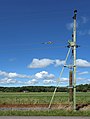 * Nomination A pole for overhead lines with tension weight at Gåseberga, Lysekil, Sweden.--W.carter 19:42, 24 July 2016 (UTC) *  Comment try to reduce the noise in the dark area of the sky. --Hubertl 21:43, 24 July 2016 (UTC)  Comment New version uploaded --Nightflyer 22:05, 24 July 2016 (UTC) Seems like I got some very unecpected and kind help from Nightflyer. :) Thank You ever so much!! Cheers, W.carter 22:15, 24 July 2016 (UTC) * Promotion Good quality now. Well done, Nightfyer! --Hubertl 01:57, 25 July 2016 (UTC)