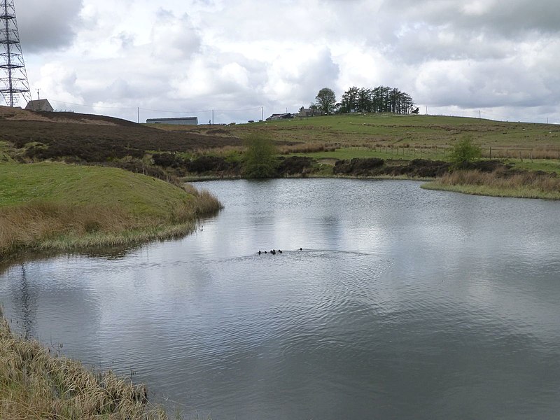 File:Pond below Cuddy's Knowe - geograph.org.uk - 4456096.jpg