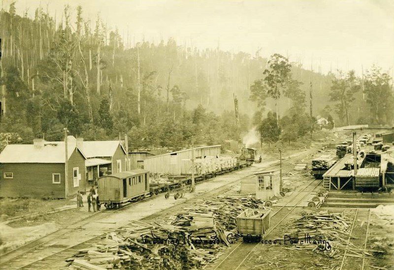 File:Powelltown Tramway.jpg