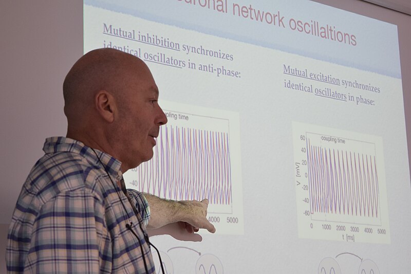 File:Presentation "Resonance-based mechanisms of generation of oscillations in networks of non-oscillatory neurons" 12.jpg