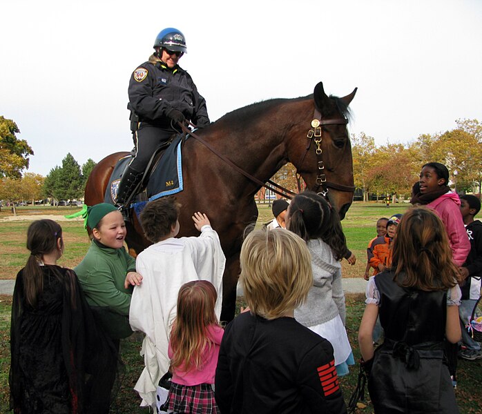 File:Providence Mounted Command, Friendly Ambassadors. - 5130831320.jpg