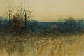 Queen Anne's Lace at Sunset by Charles Warren Eaton, watercolor