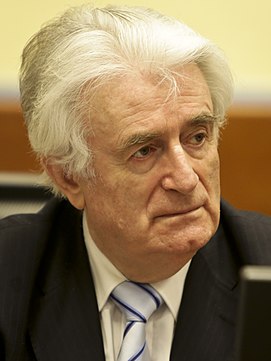 Radovan Karadžić trial judgement 24 March 2016.jpg