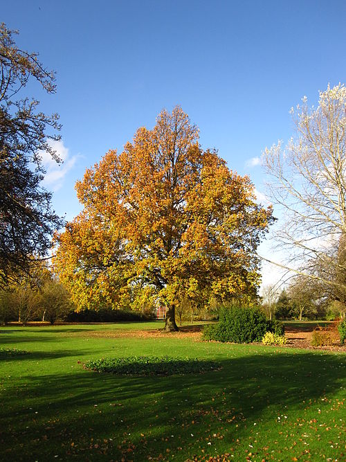Ravenor Park in Greenford