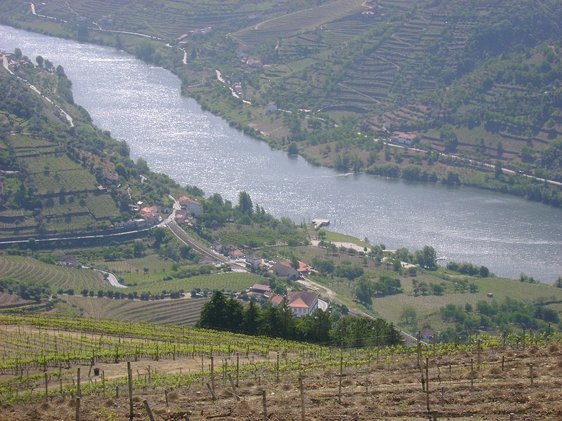 File:Rede, Mesão Frio, Portugal - panoramio.jpg