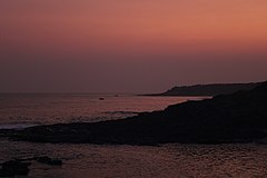 File:Redsands Beach, Bass Point.jpg (Category:Echinoidea)