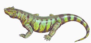 Rhipaeosaurus