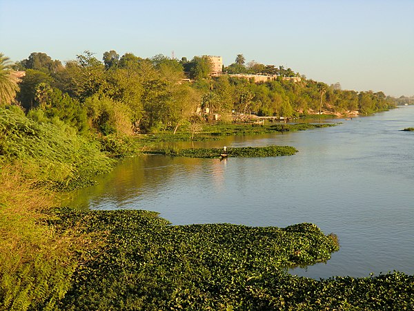 Image: Rive du Niger, dans Niamey