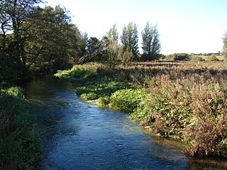 <span class="mw-page-title-main">River Nar</span> River in England