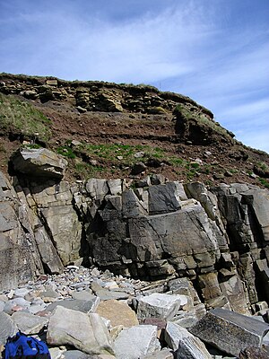 Rockhead at Sandside Bay, Caithness, Scotland.jpg