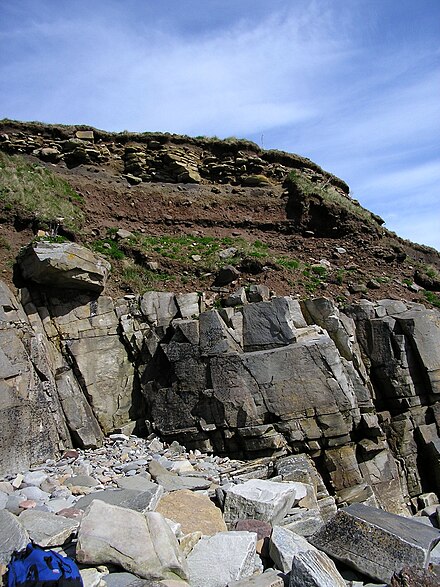 Soil with broken rock fragments overlying bedrock, Sandside Bay, Caithness