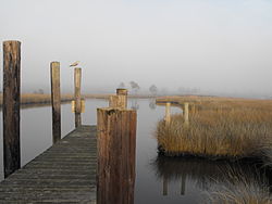 Swan Quarter dock