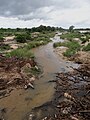 Parc National Kruger: Historique, Plantes, Oiseaux