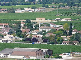 Saint-Laurent-des-Vignes – Veduta