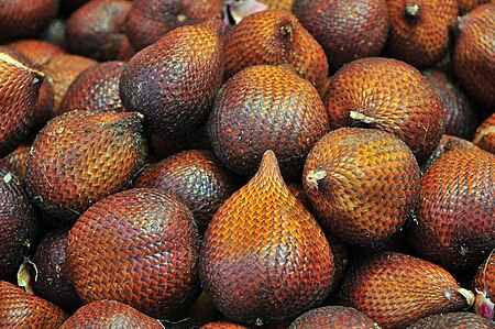 ไฟล์:Salak_fruits_Salacca_zalacca.jpg