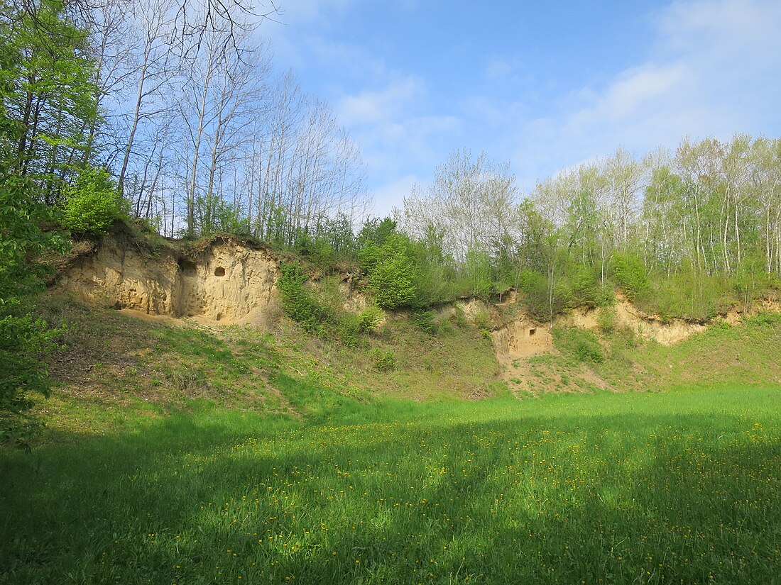 Sandgrube am Grafenrain