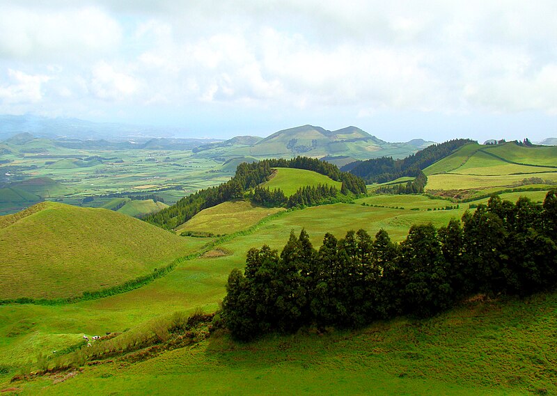 Pasturelands in the Picos
