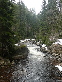 Black Pockau River in Germany